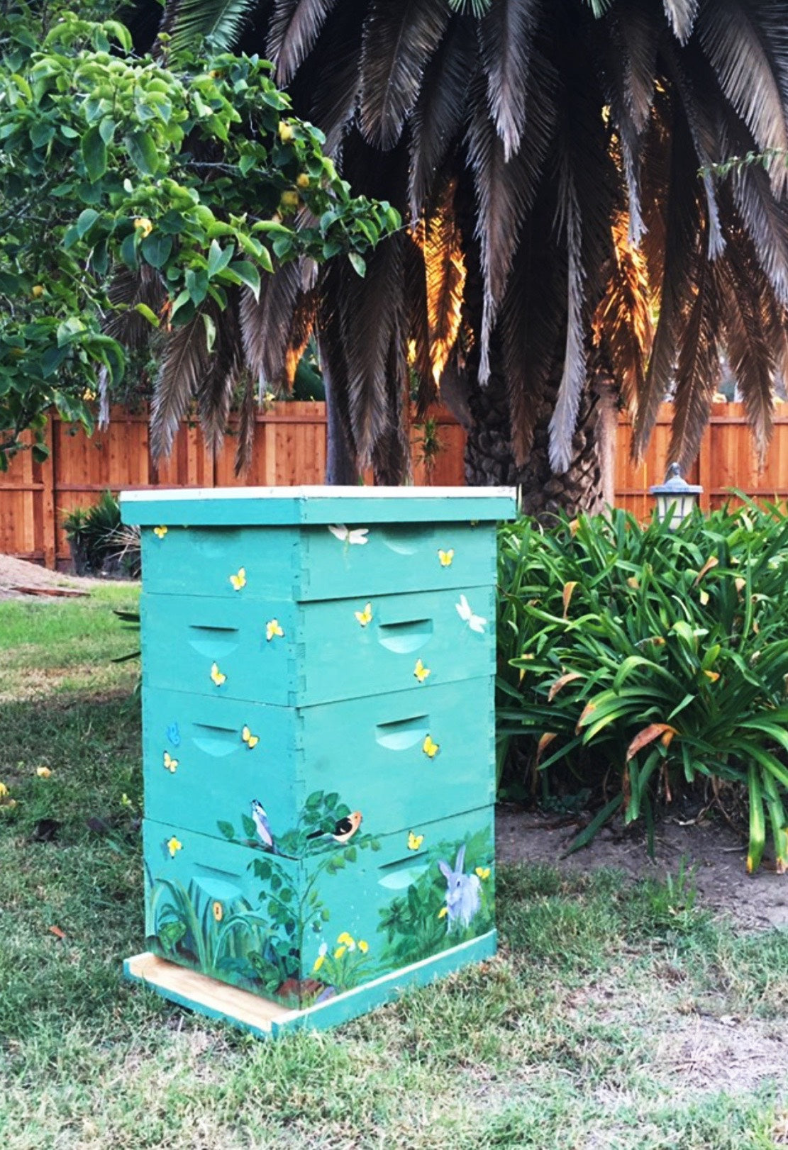 Bee Hives