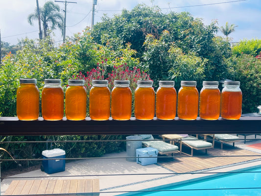 Honey Harvest