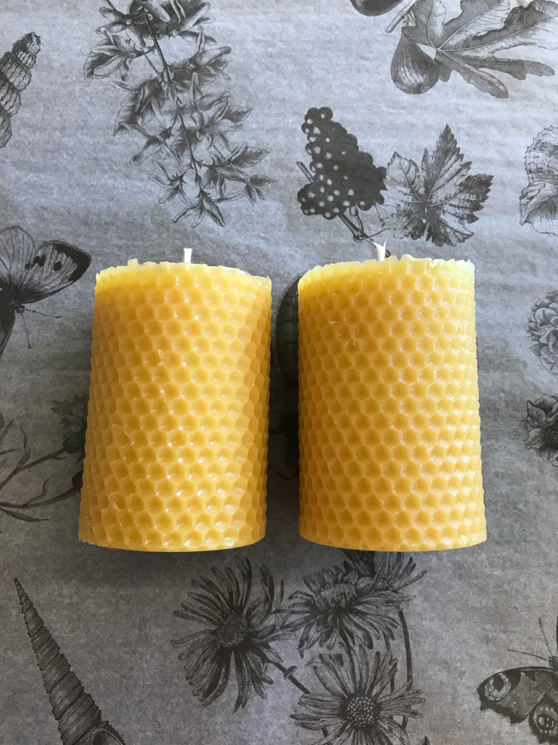 3 Inch Wide Beeswax Pillar Candles - Beverly Bees