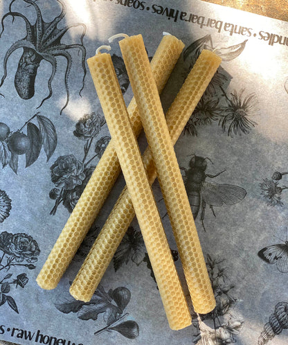 Hand Rolled Beeswax Taper Candles